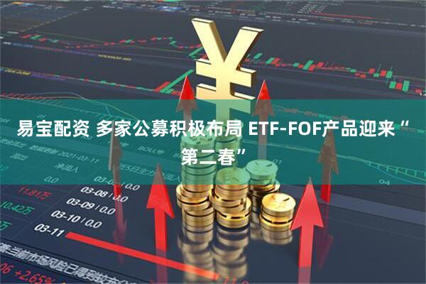 易宝配资 多家公募积极布局 ETF-FOF产品迎来“第二春”