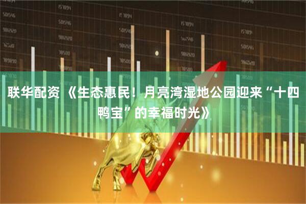 联华配资 《生态惠民！月亮湾湿地公园迎来“十四鸭宝”的幸福时光》