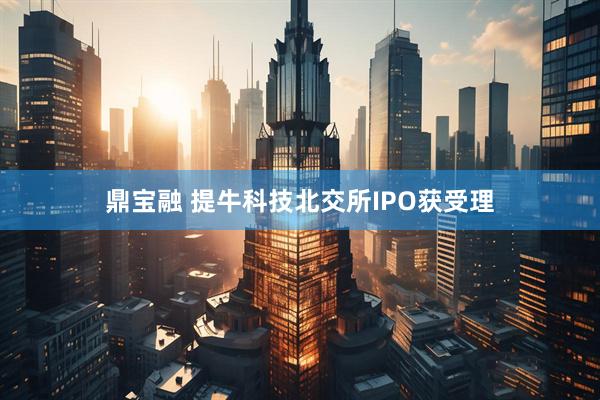 鼎宝融 提牛科技北交所IPO获受理