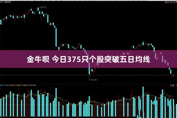 金牛呗 今日375只个股突破五日均线