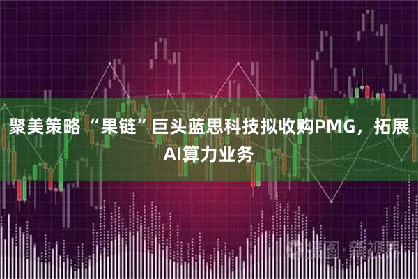 聚美策略 “果链”巨头蓝思科技拟收购PMG，拓展AI算力业务