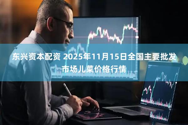 东兴资本配资 2025年11月15日全国主要批发市场儿菜价格行情